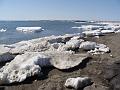 Alaska 2008 136